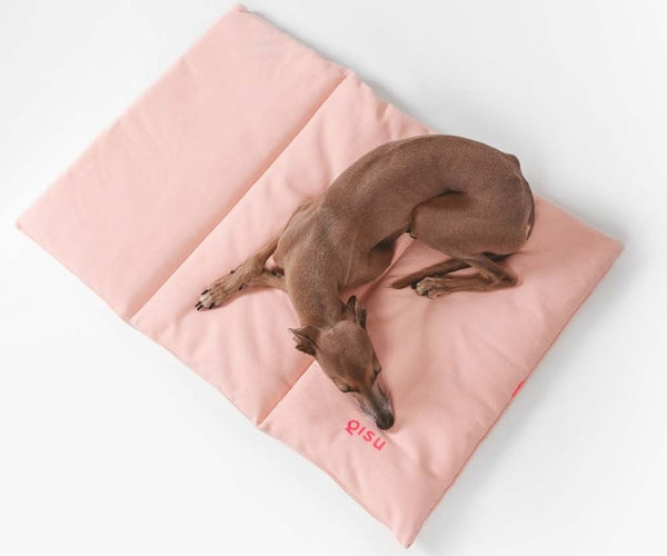 Flat Padded Nomad Dog Bed (by Qisu) - Perfect For Travelling, Home, the Park, Visiting Friends