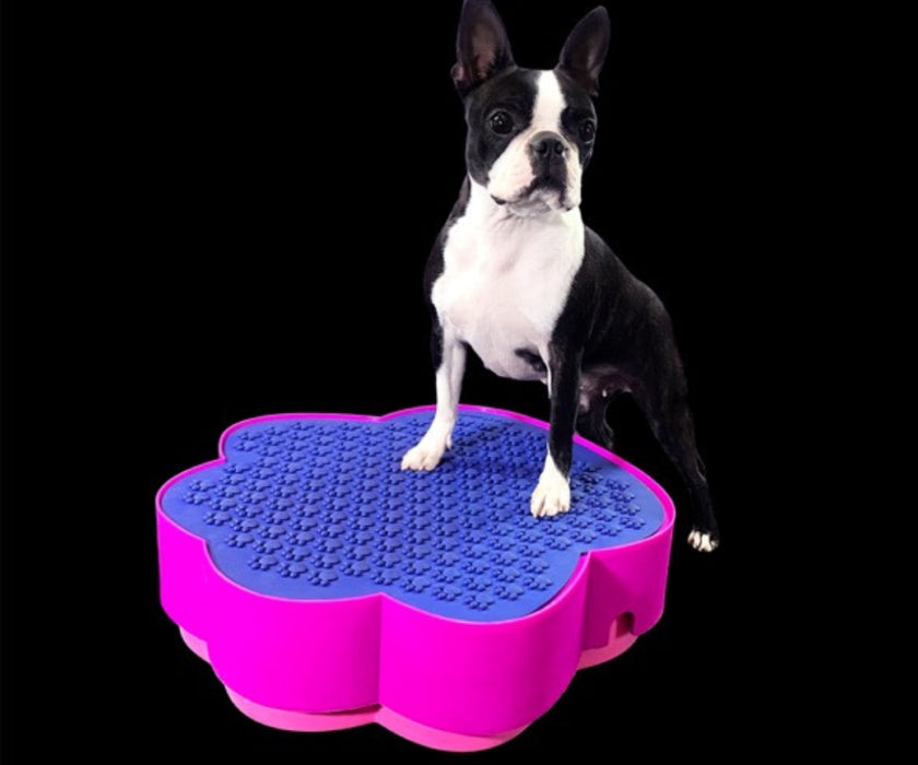 Flexiness Dog PawStep Training Platform - Builds Stability & Posture for Rehab & Controlled Movement
