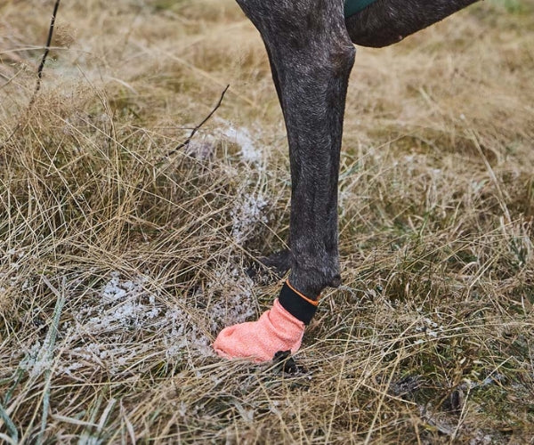 Non-Stop Dogwear Protector Light Dog Socks - Durable Paw Protection Socks With Anti-Cut Material (four socks)