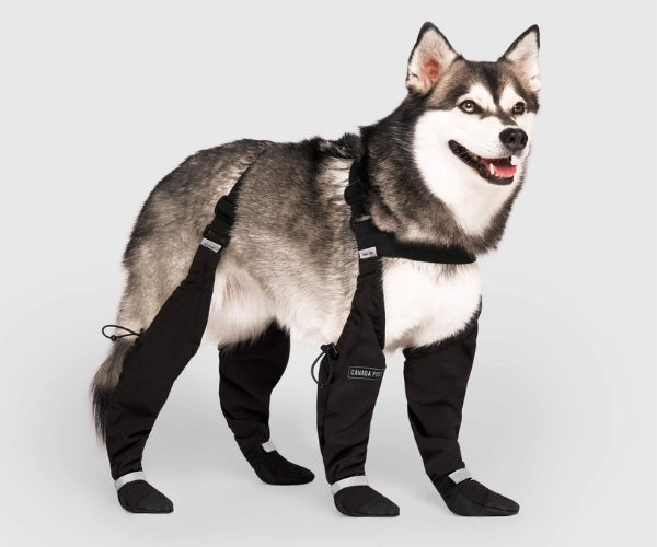 Canada Pooch Suspender Dog Boots - Secure Paw Protection With Extended Leg Coverage (four boots)