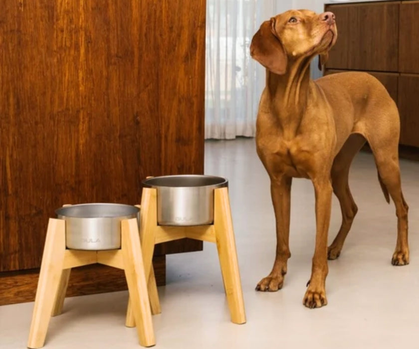Raised Bamboo Dog Bowl Stand & Stainless Steel Bowl Set - Improve their Posture when Eating & Drinking (one stand & one bowl)