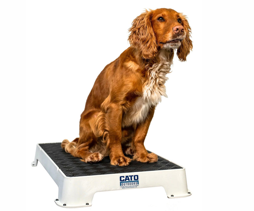 Cato Dog Outdoors Training Board - Durable, Non-Slip Training Platform for Stability & Confidence Building (41cm W x 61cm L x 9cm H)