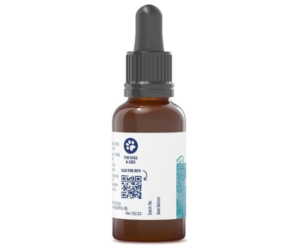 Dorwest Symphytum 15C Liquid for Dogs - Aftercare for Strains & Sprains 15ml