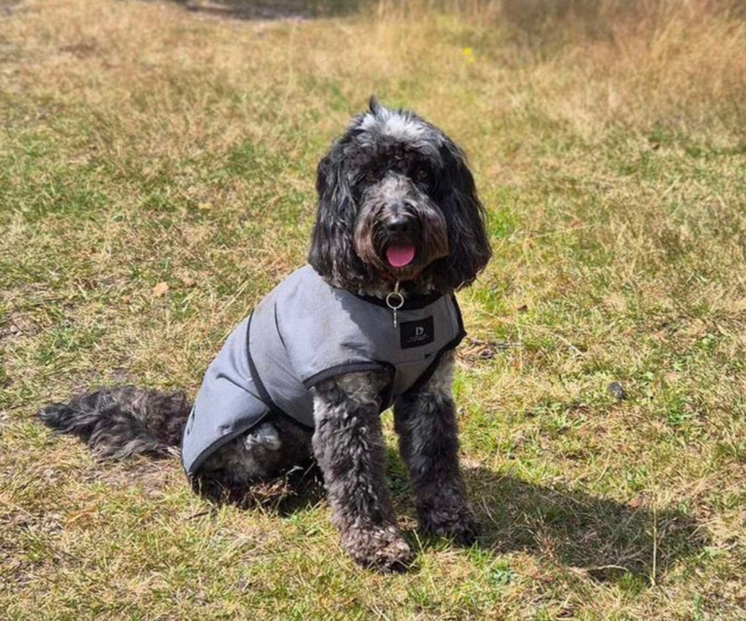 Paw Daw of London Luxury Cooling Dog Coat - Targeted Cooling & Sun Protection For Hot Weather