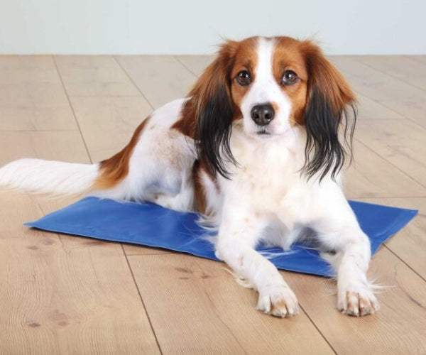 Trixie Cooling Mat for Dogs - Keeps Your Dog Cool During Hot Weather