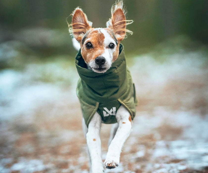 Non-Stop Dogwear Glacier Dog Wool Jacket 3.0 - Maximum Warmth & Comfort for Stiff Joints with 100% Merino Wool Lining