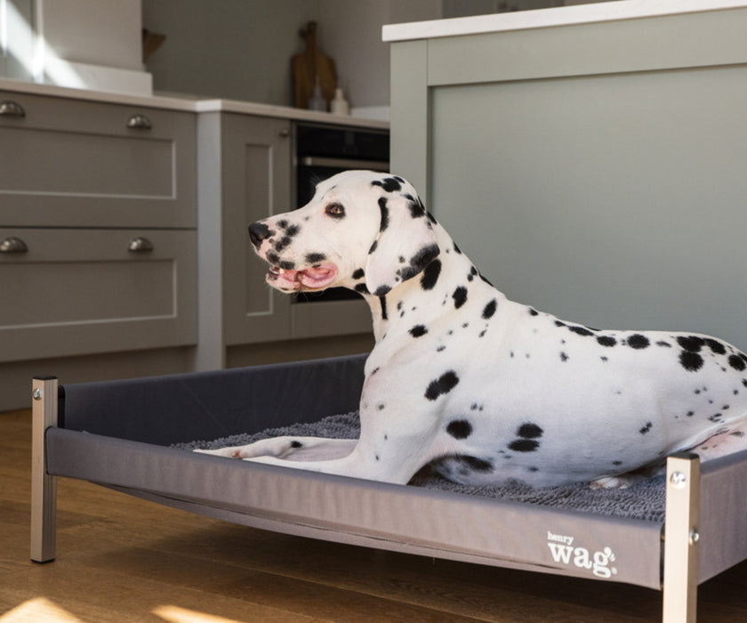 Henry Wag Elevated Orthopaedic Dog Bed - Raised Dog Bed for Better Joint Support & Airflow