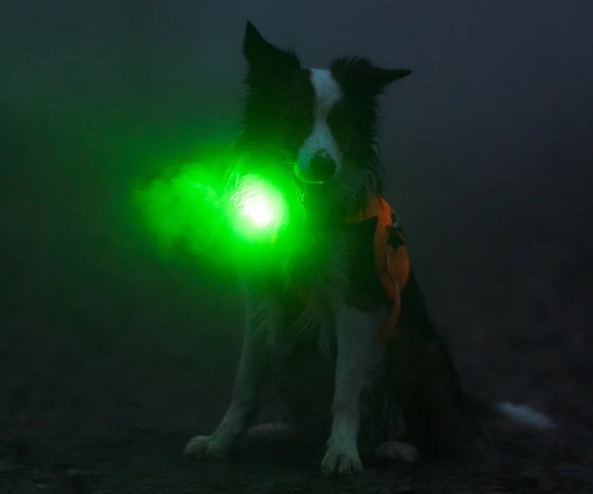 Orbiloc Dog Dual Safety Dog Light - Waterproof LED Light Visible Up to 5km for Collars, Harnesses and Leads