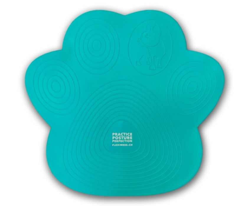 Flexiness Dog PawDisc Inflatable Training Disc - Builds Stability & Coordination for Rehab & Conditioning
