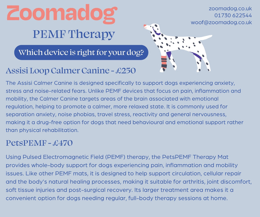 Pulse Electromagnetic Field (PEMF) Therapy for Dogs made by Respond Animal Therapeutics
