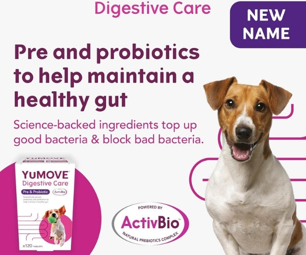 YuMOVE Digestive Care Pre & Probiotic Tablets for Dogs - Daily Digestive Support 120 Tablets