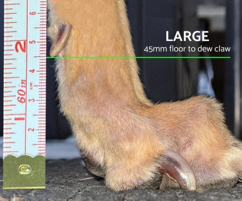 Hunnyboots - Set of Two Greyhound Boots V4 (a pair)