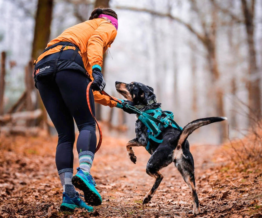 Non-Stop Dogwear CaniX Belt 2.0 - Hands-Free Support & Freedom of Movement for You & Your Dog