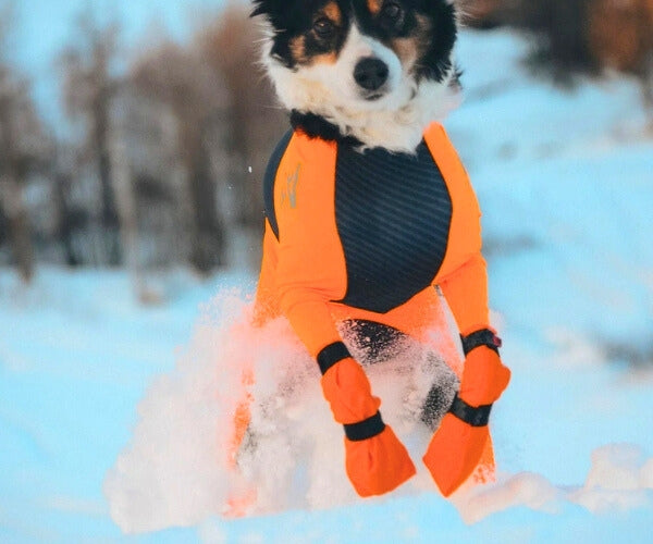 Non-Stop Dogwear Contact High Dog Boots - Protects Paws & Legs From Snow, Ice & Extreme Temperatures (four boots)
