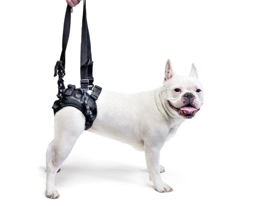 50% Off - Walkin Rear Lift Dog Harness - best for Walkin Wheelchair