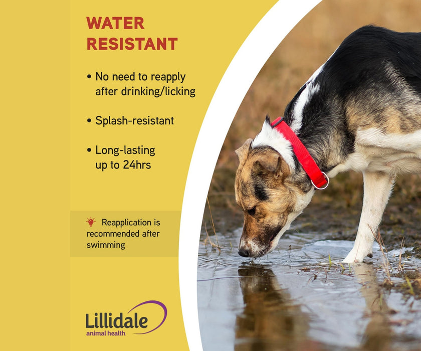 Lillidale Sun Protectant Powder for Dogs - UVA & UVB Protection for Sun-Sensitive Skin