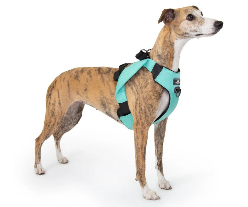 Sleepypod ClickIt Range Dog Car Safety Harness - Easy Lifting & Secure Travel for Your Dog