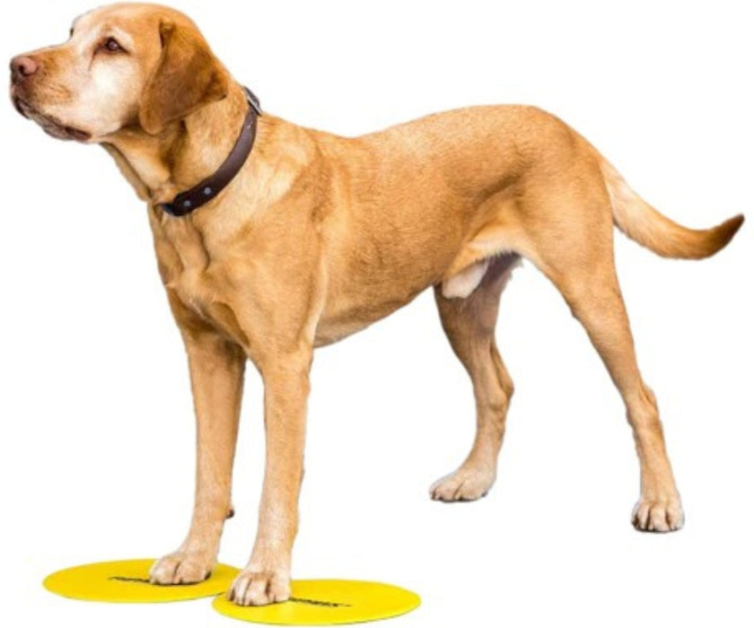 FitPaws Targets - Set of 4 Assorted Colours