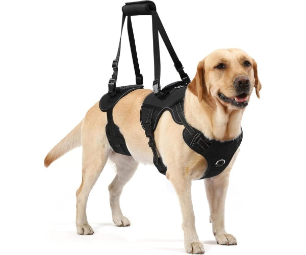 Zoomadog Full Body Lifting Harness for Dogs - Lift & Support Your Dog Safely As They Age or Recover From Injury