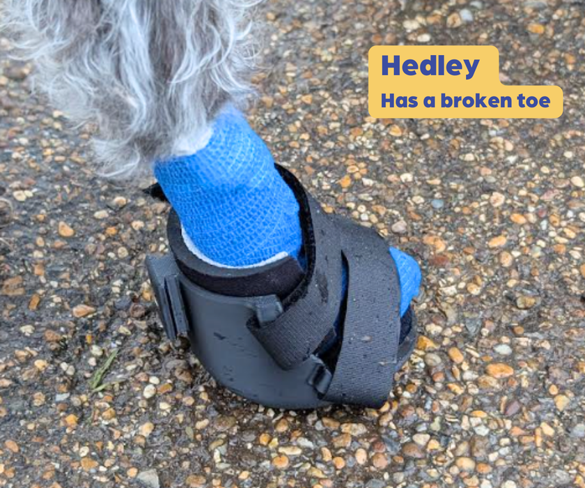 *NEW* Buster Boot Paw Dog Splint by Zoomadog - Ideal for Broken Toes & Paw Injuries (firm)