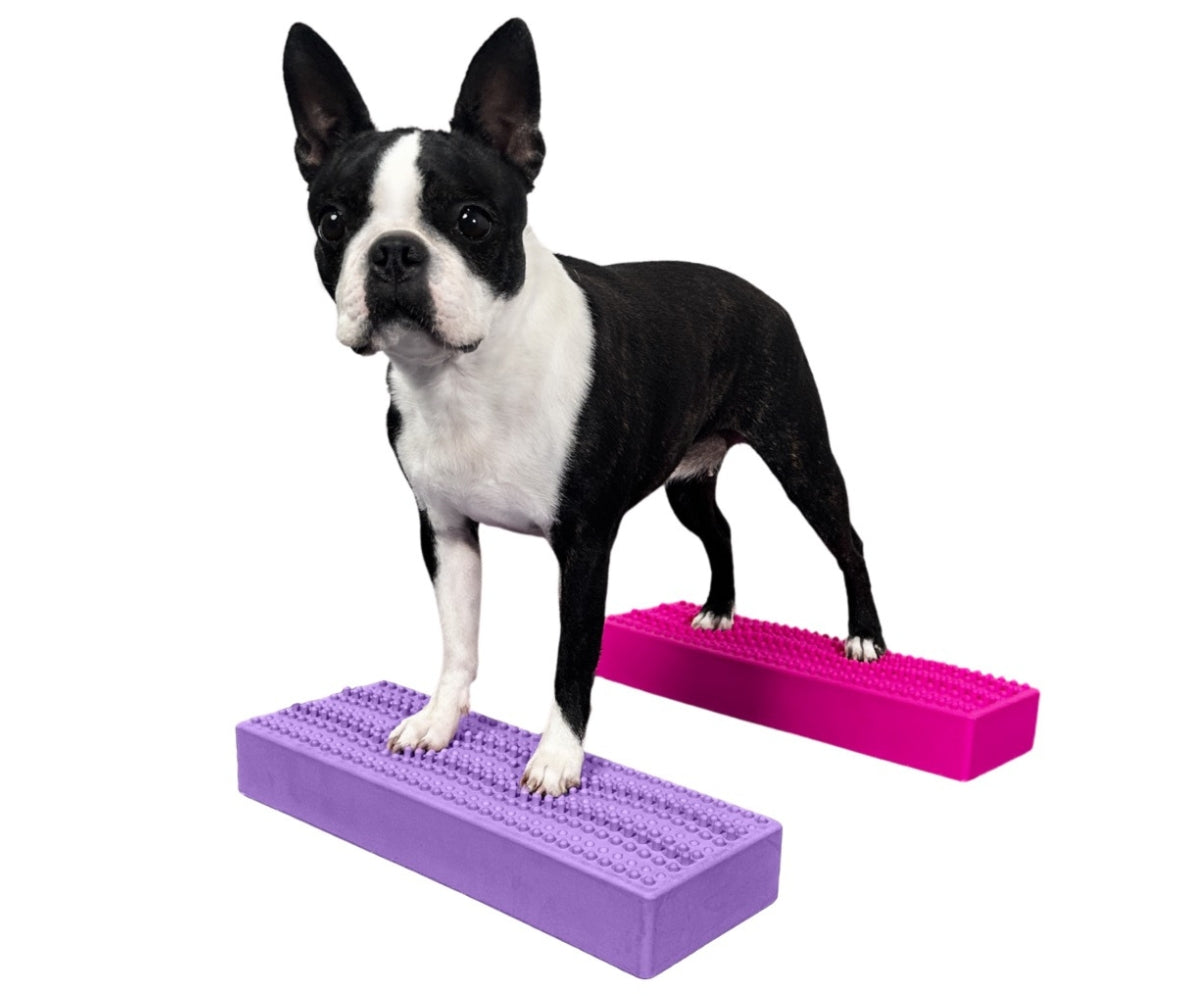 Best Flexiness Canine Fitness & Rehabilitation Equipment UK