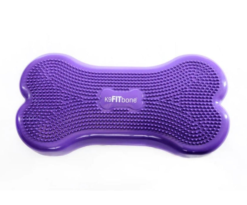FitPaws Bone Regular - Purple, Orange, Aqua, Razzleberry, Sky Blue or Green