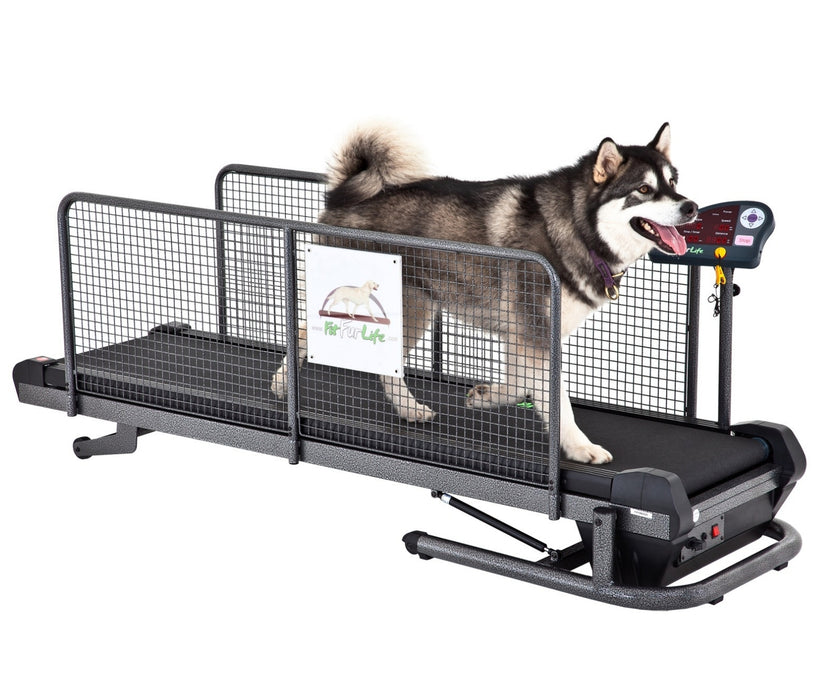 Fit Fur Life Professional Dog Treadmill - Advanced Exercise, Fitness & Rehabilitation for Dogs up to 130kg