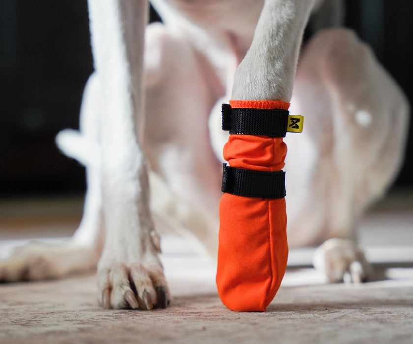 Non-Stop Dogwear Contact High Dog Boots - Protects Paws & Legs From Snow, Ice & Extreme Temperatures (four boots)