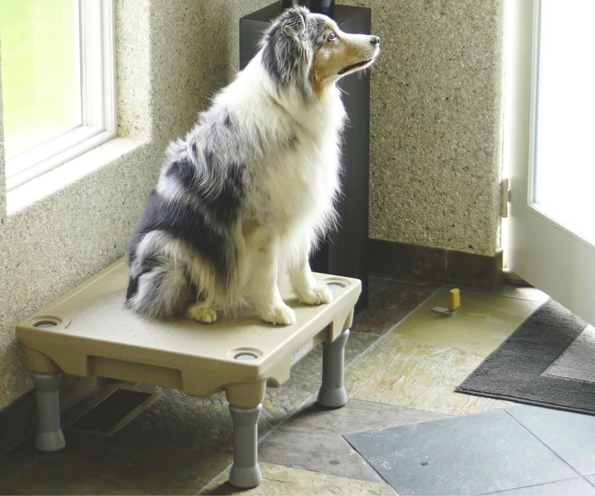 Blue-9 Dog Klimb Training Platform - Non-Slip Elevated Platform for Rehabilitation & Strength Building (61cm L x 61cm W x 31cm H)