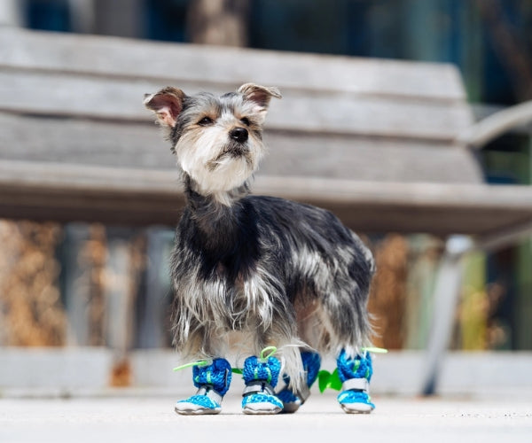 Canada Pooch Hot Pavement Dog Boots - Protects Your Dog's Paws from Hot Pavements (four boots)