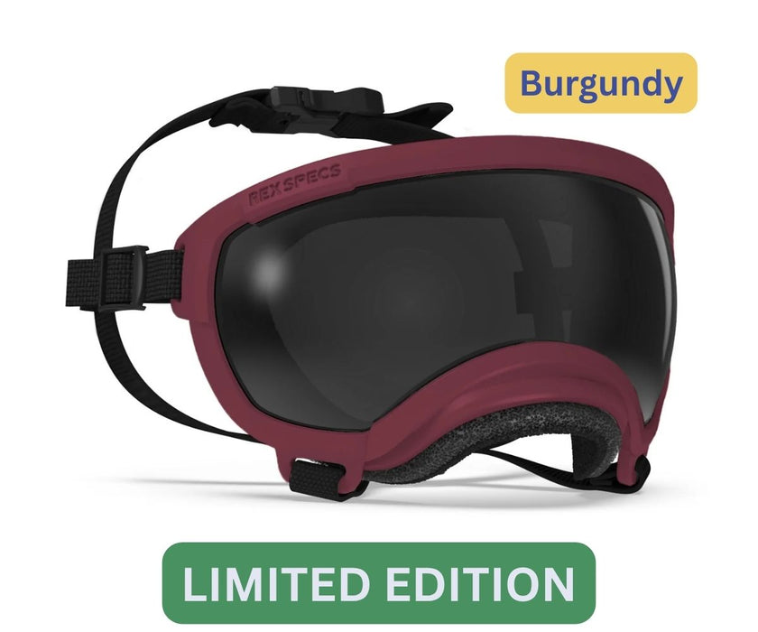 Rex Specs Dog Goggles - For Active and Blind Dogs (Black, Pink, Blue, Orange or Coyote)