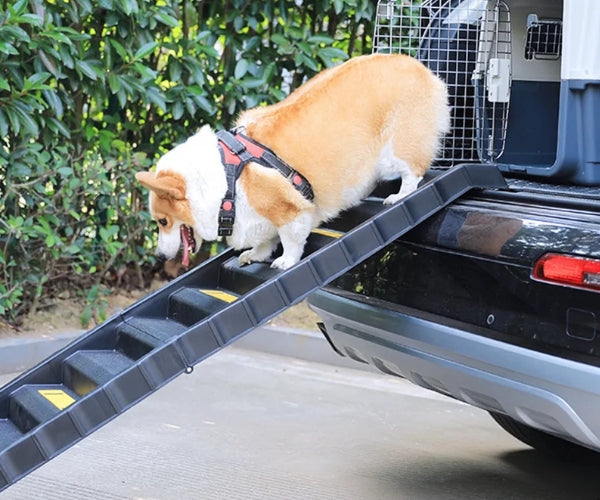 Zoomadog Foldable Dog Ramp With Steps - Lightweight Ramp for Dogs