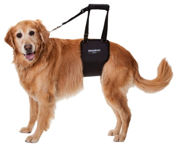 GingerLead Support Dog Sling