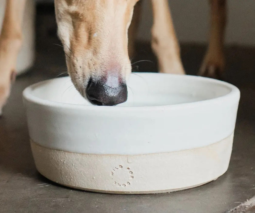 Wild For Dogs Handcrafted Ceramic Dog Bowl - High Quality Stoneware Bowl Made in England (one bowl)