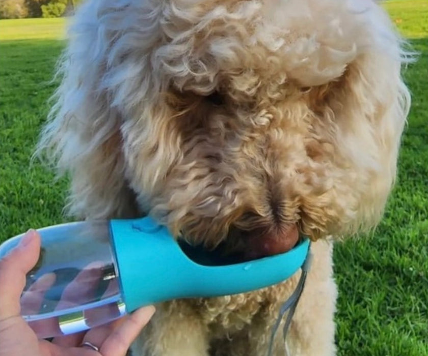 Green Wave Co. Dog Travel Bottle - Provide Filtered Water For Every Adventure 280ml