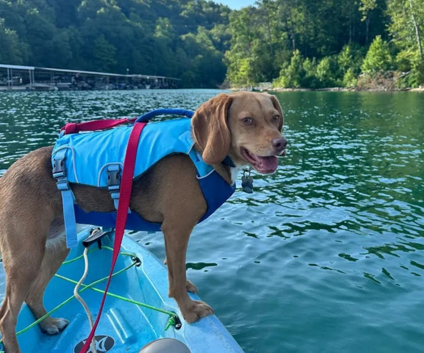 Ruffwear Confluence Life Jacket for Dogs - Premium Harness-Style Life Jacket for Swimming & Water Sports