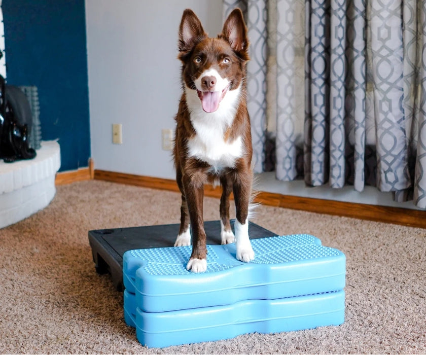 Blue-9 Dog Propel Air Platform - Inflatable Balance & Conditioning Platform for Strength, Stability & Rehabilitation Training