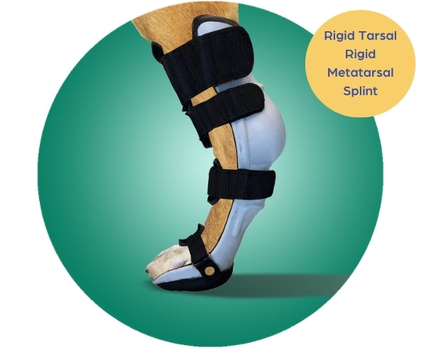 Scandi Orthopedic Hock and Tarsal Rear Splint Fully Customised - Grade 4 (rigid)
