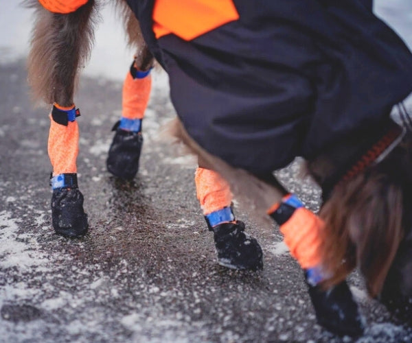 Non-Stop Dogwear High Protector Dog Boots - Heavy Duty Paw Protection for Sharp Surfaces (four boots)