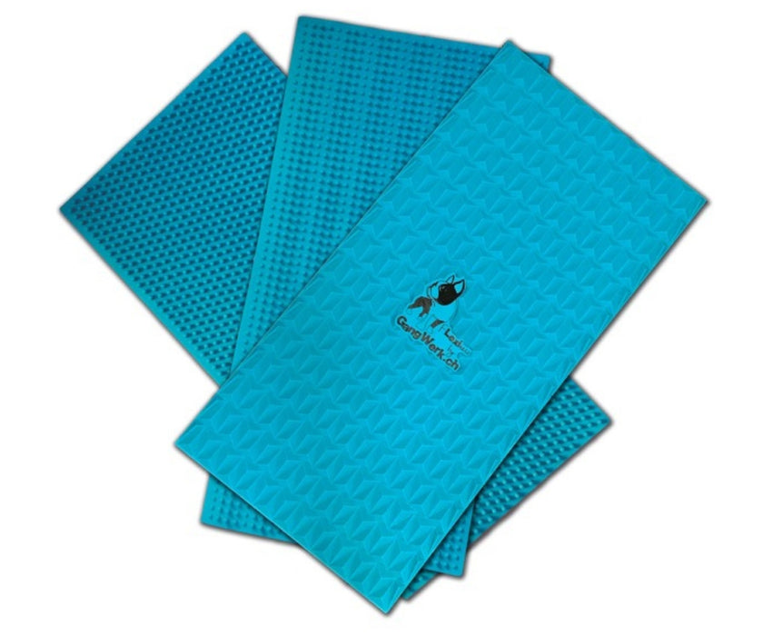 Flexiness Dog SensiMat Sensory Training Mat - Supports Grip & Balance for Rehab, Fitness & Confidence 30 x 60cm