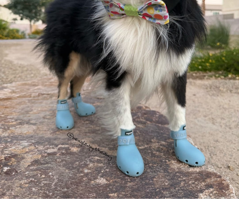 WagWear Sport Dog Boots - Lightweight Silicone Boots with Ventilation Holes & Extended Traction Tread (two boots)