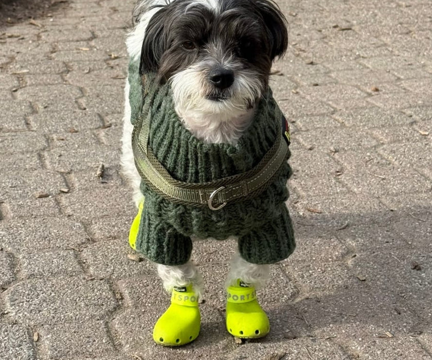 WagWear Sport Dog Boots - Lightweight Silicone Boots with Ventilation Holes & Extended Traction Tread (two boots)