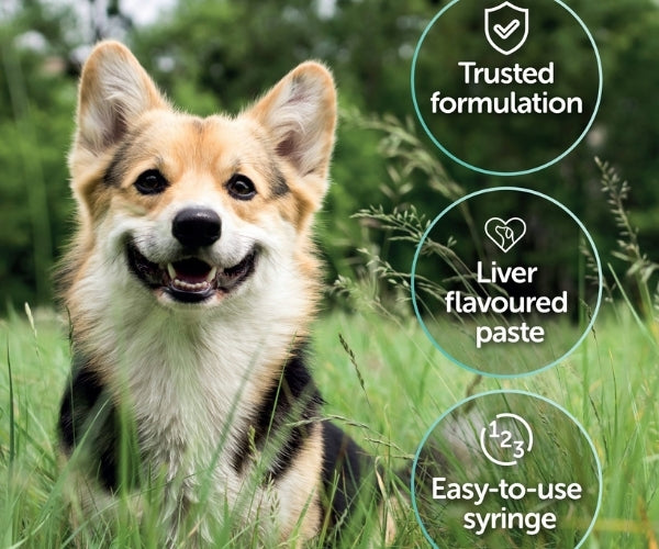 Protexin Pro‑Kolin Advanced Paste - Gastrointestinal Support for Dogs 15ml, 30ml, 60ml