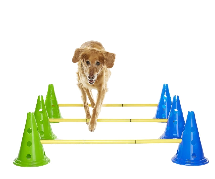 FitPaws Agility Kit — ZOOMADOG