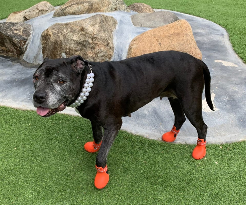WagWear Sport Dog Boots - Lightweight Silicone Boots with Ventilation Holes & Extended Traction Tread (two boots)
