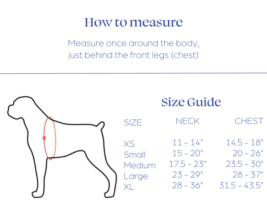 How to Measure for the Warrior Harness