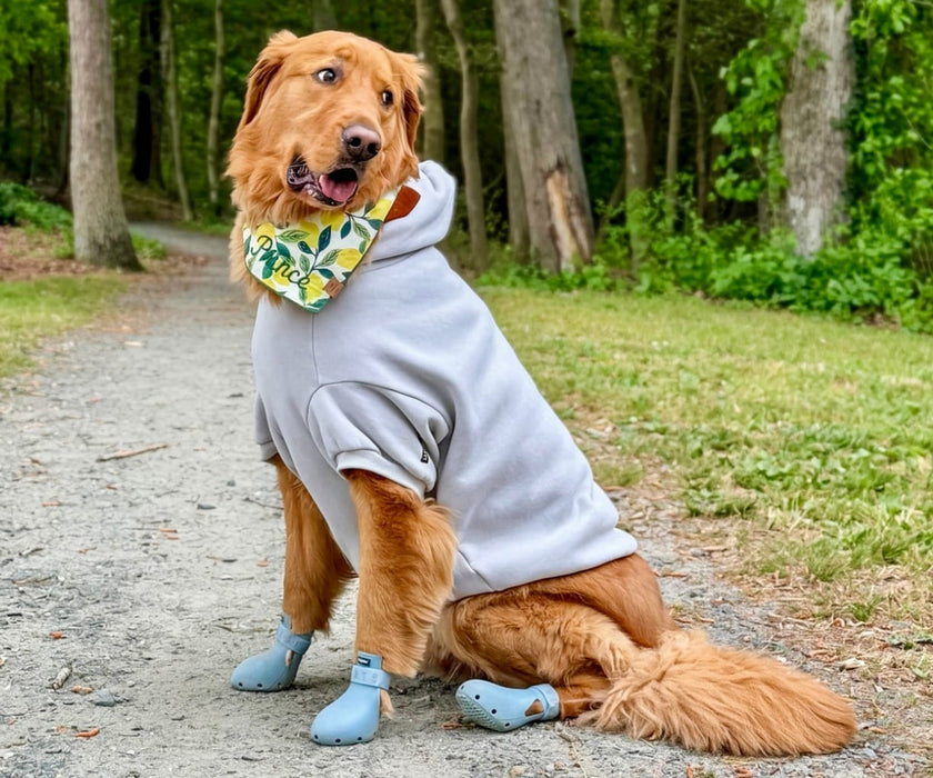 WagWear Sport Dog Boots - Lightweight Silicone Boots with Ventilation Holes & Extended Traction Tread (two boots)