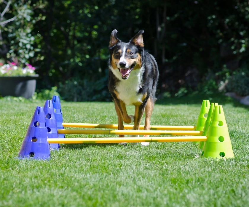FitPaws Agility Kit