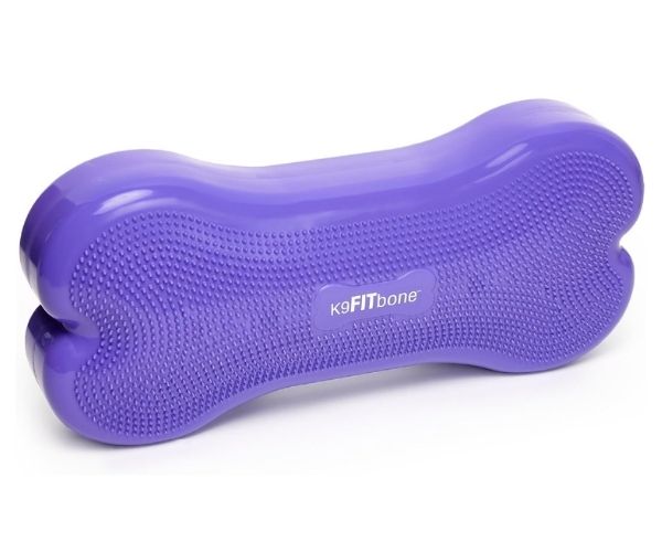 FitPaws Bone Giant - Blue, Turquoise, Violet