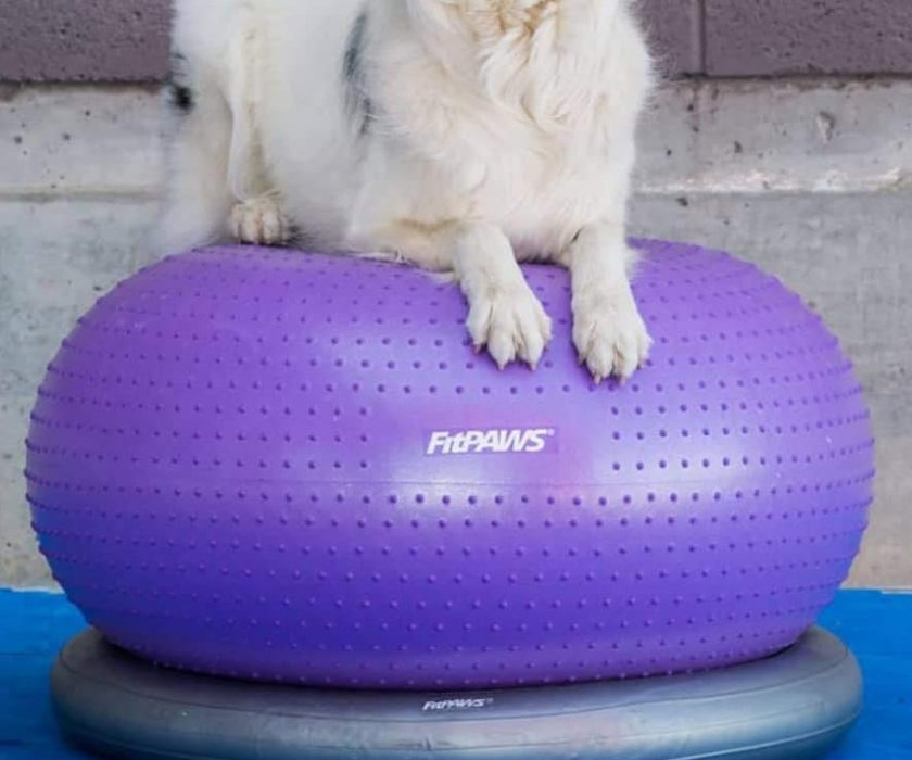 FitPaws TRAX Donut - Purple